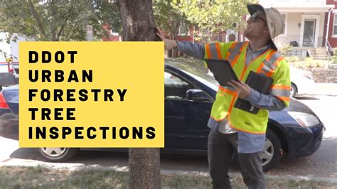 city of raleigh urban forestry inspections directory.